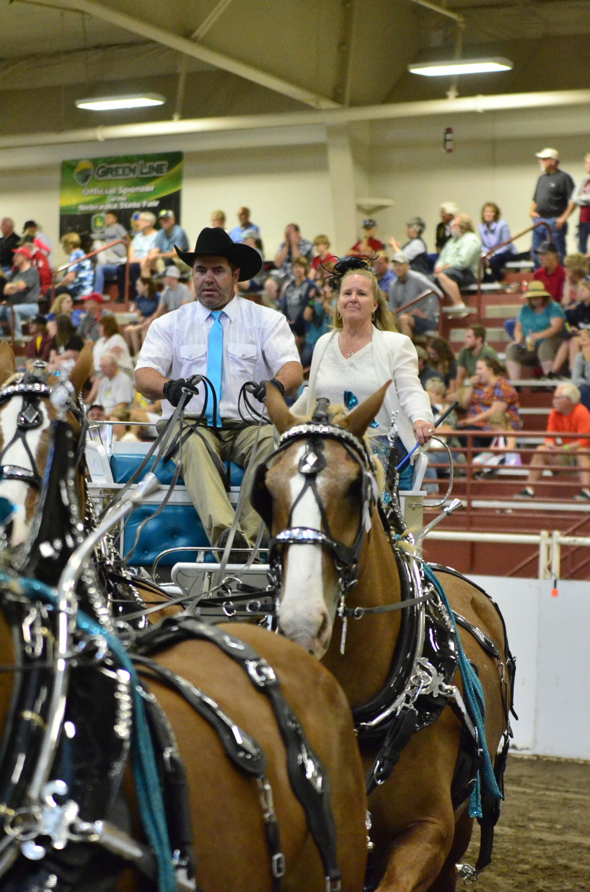 8-25-19 Draft Horse Hitch Final (109).JPG